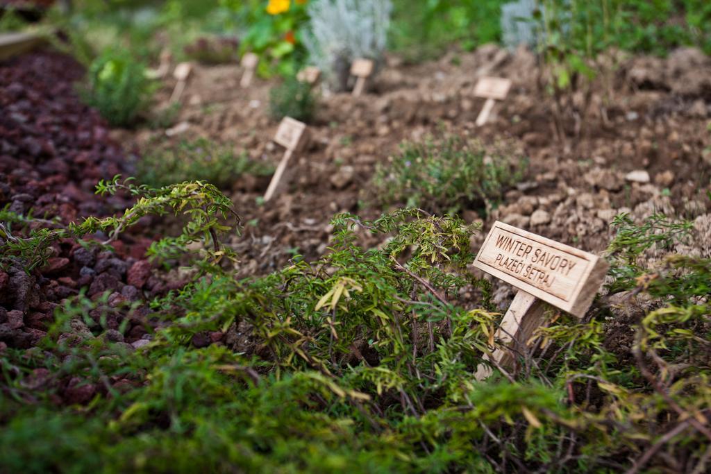 Herbal Glamping Resort Ljubno Buitenkant foto